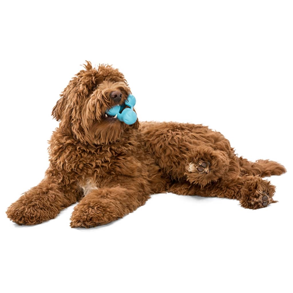 West Paw Dog Toy with Zogoflex Tux Aqua Blue S