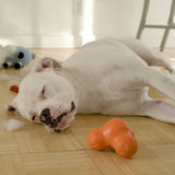 West Paw Dog Toy with Zogoflex Tux Mandarin Orange S