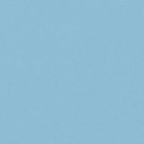 Cuscini da Esterno 2 pz 60x40 cm Azzurro