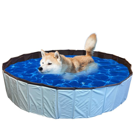 @Pet Piscina per Cani 80x20 cm S Blu