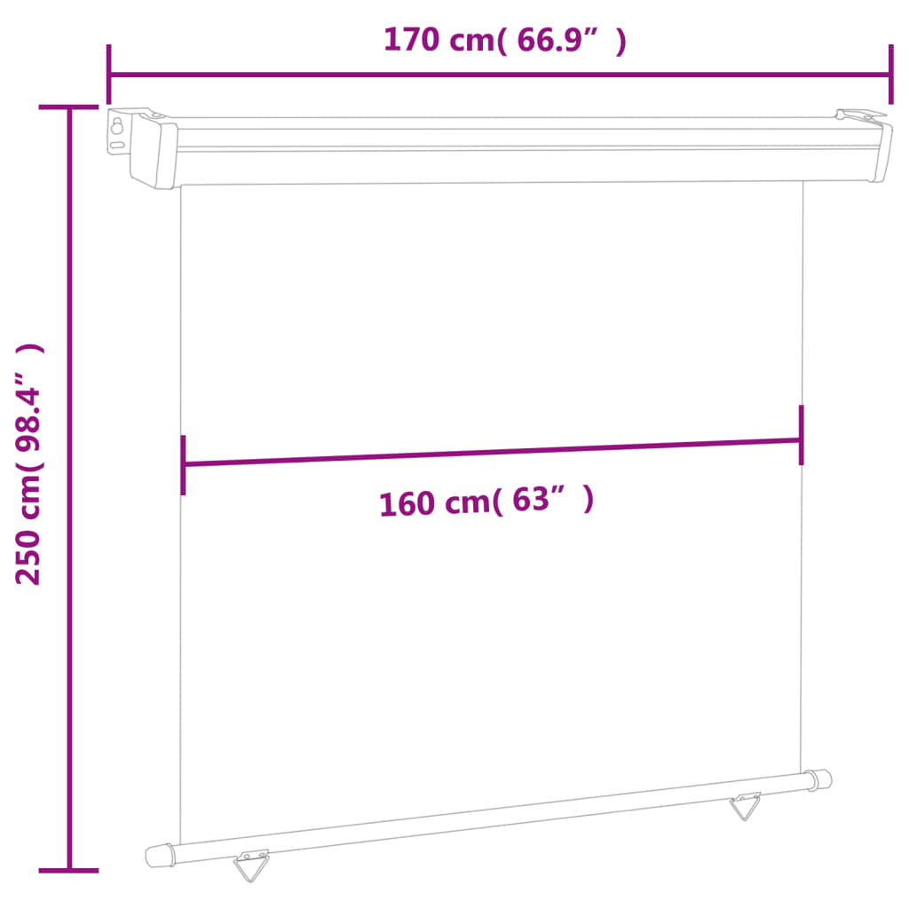 Tenda Laterale per Terrazzo 170x250 cm Marrone