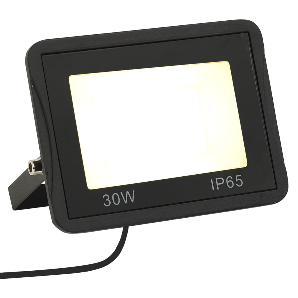 Faretto a LED 30 W Bianco Caldo