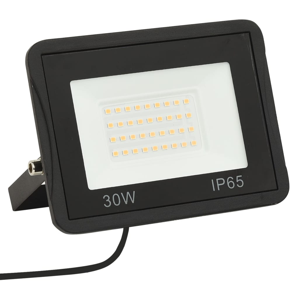 Faretto a LED 30 W Bianco Caldo