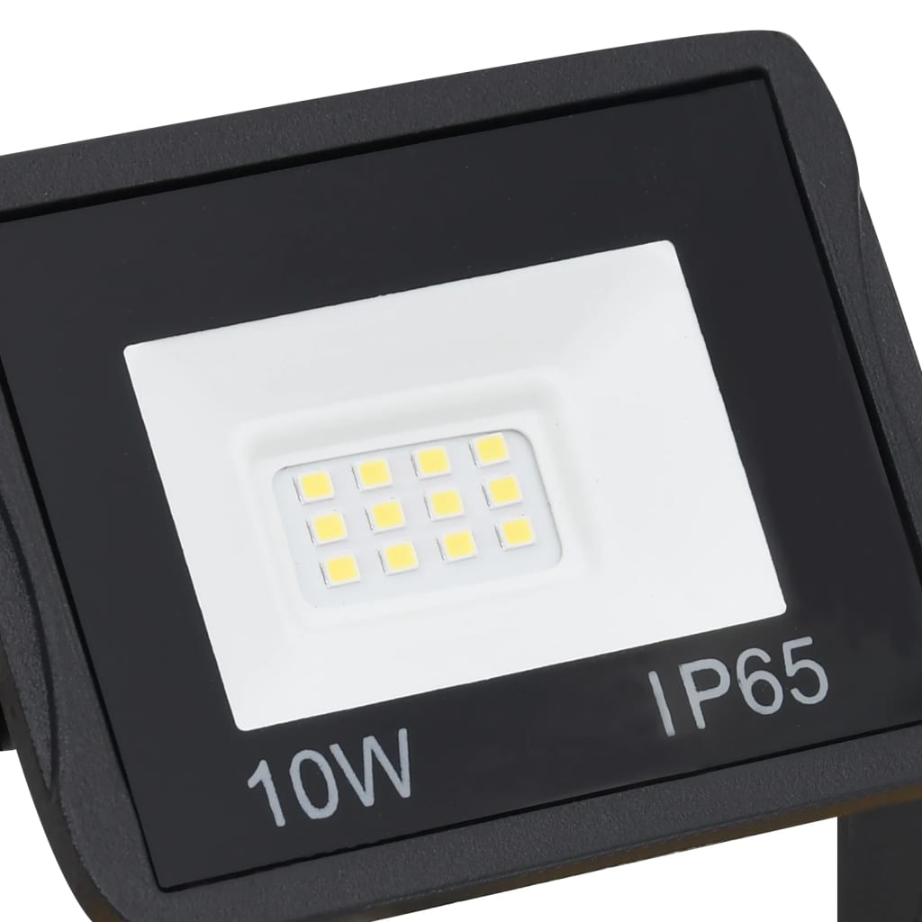 Faretto a LED con Maniglia 2x10 W Bianco Freddo