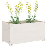 Fioriera da Giardino Bianca 60x31x31 cm Legno Massello di Pino