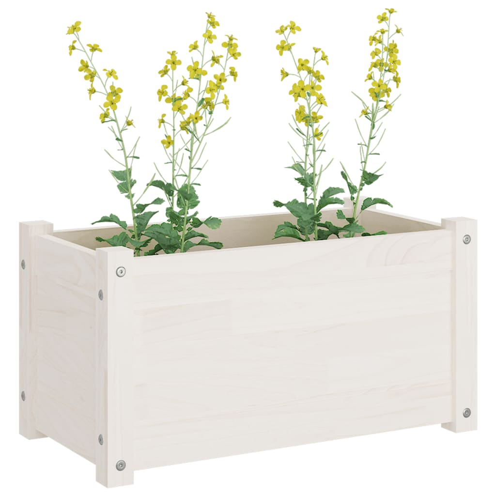 Fioriere da Giardino 2 pz Bianche 60x31x31 cm Massello di Pino