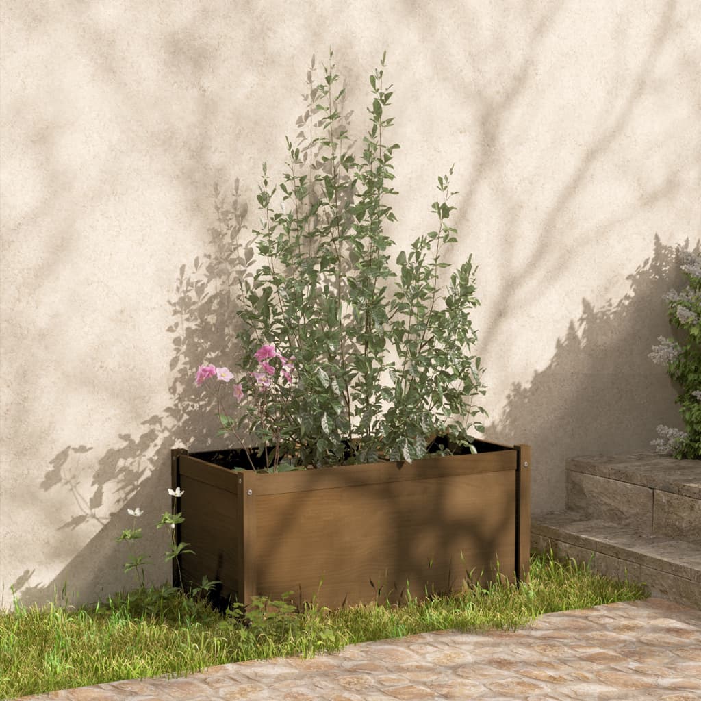 Fioriere da Giardino 2 pz Miele 100x50x50 cm in Legno di Pino