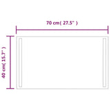 Specchio da Bagno con Luci LED 70x40 cm