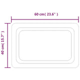 Specchio da Bagno con Luci LED 60x40 cm