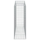 Cesti Gabbioni ad Arco 20 pz 200x50x140/160 cm Ferro Zincato