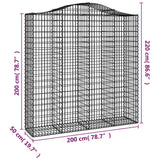 Cesti Gabbioni ad Arco 2 pz 200x50x200/220 cm Ferro Zincato