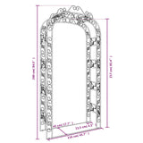 Arco da Giardino 116x45x240 cm Acciaio