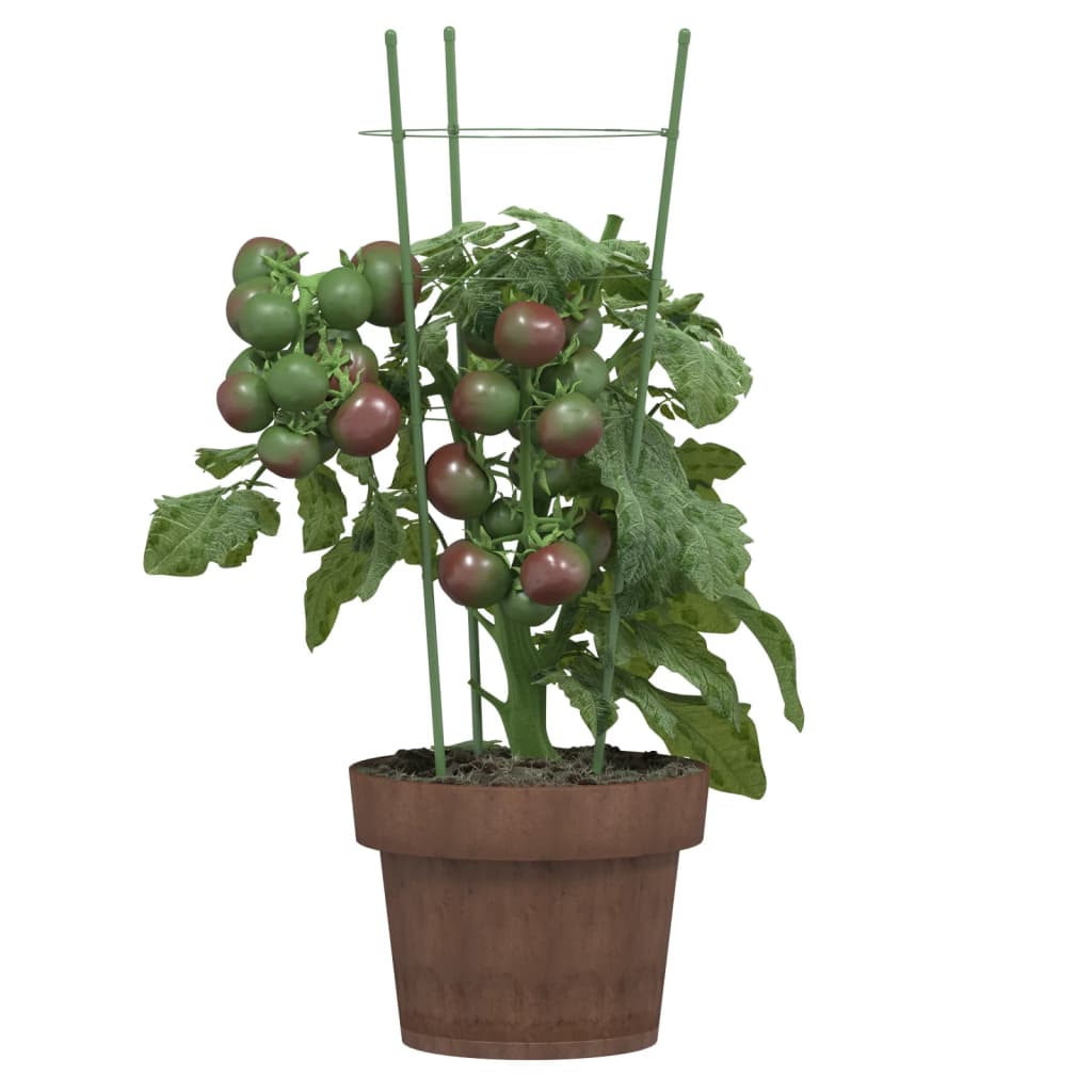 Supporti Piante da Giardino con 3 Anelli 5pz Verde 45cm Acciaio