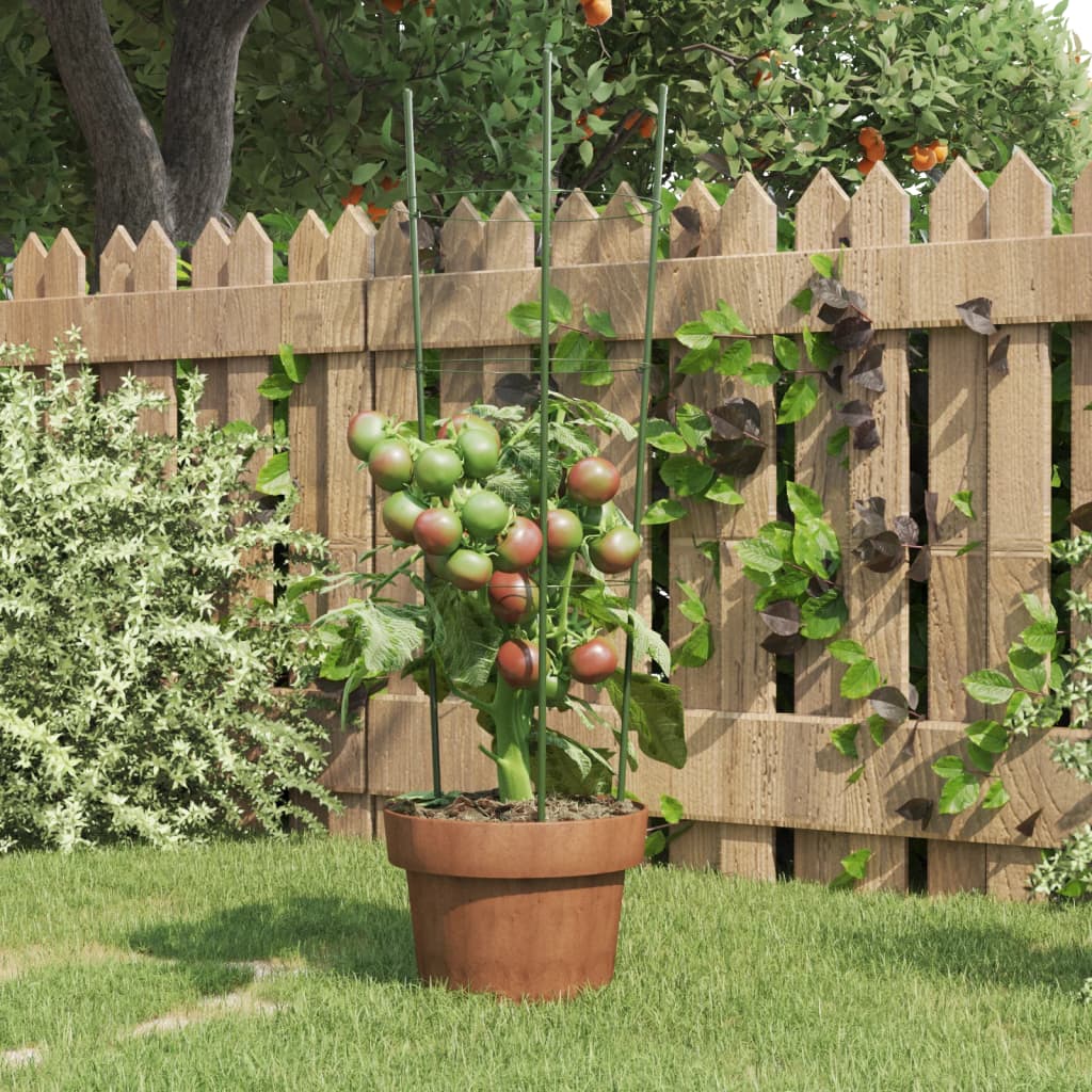 Supporti Piante da Giardino con 3 Anelli 5pz Verde 60cm Acciaio