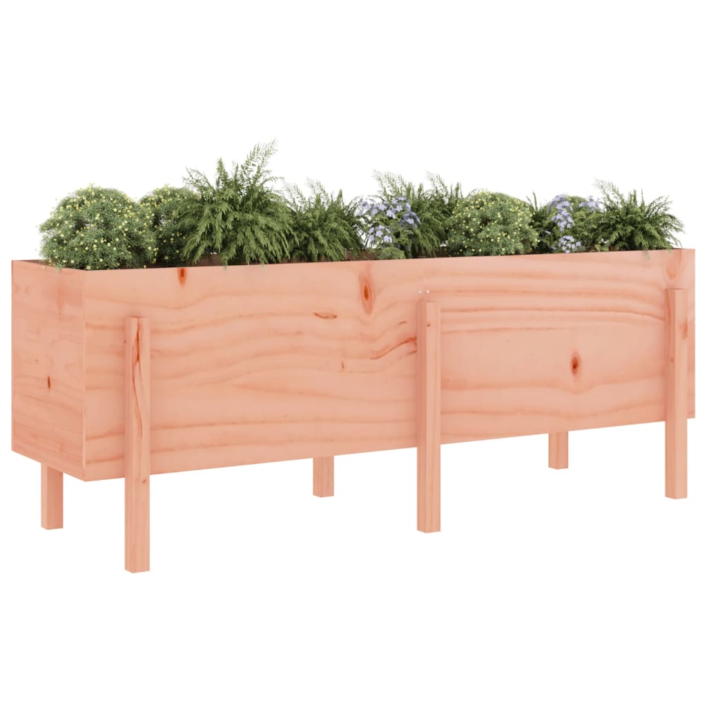 Fioriera Rialzata Giardino 160x50x57 cm Legno Massello Douglas