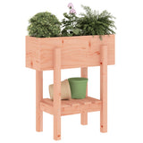 Fioriera da Giardino 62x30x69 cm in Legno Massello di Douglas