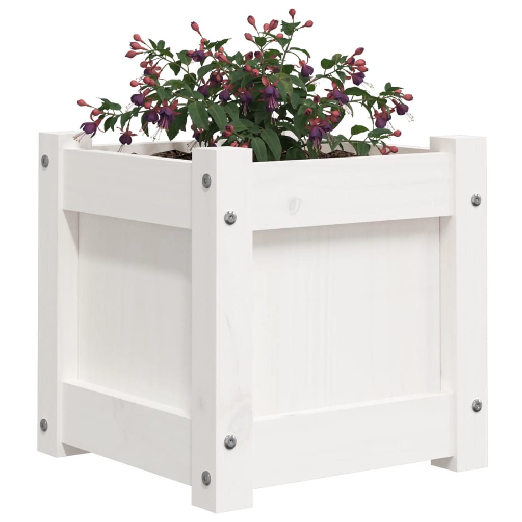 Fioriera da Giardino Bianca 31x31x31 cm Legno Massello di Pino