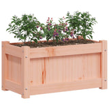 Fioriere da Giardino 2 pz in Legno Massello di Douglas