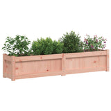 Fioriera da Giardino 150x31x31 cm in Legno Massello di Douglas