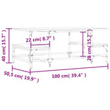 Tavolino Salotto Rovere Sonoma 100x50,5x40 cm Legno Multistrato