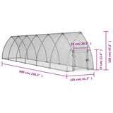 Gabbia per Polli Argento 600x105x120 cm in Acciaio Zincato